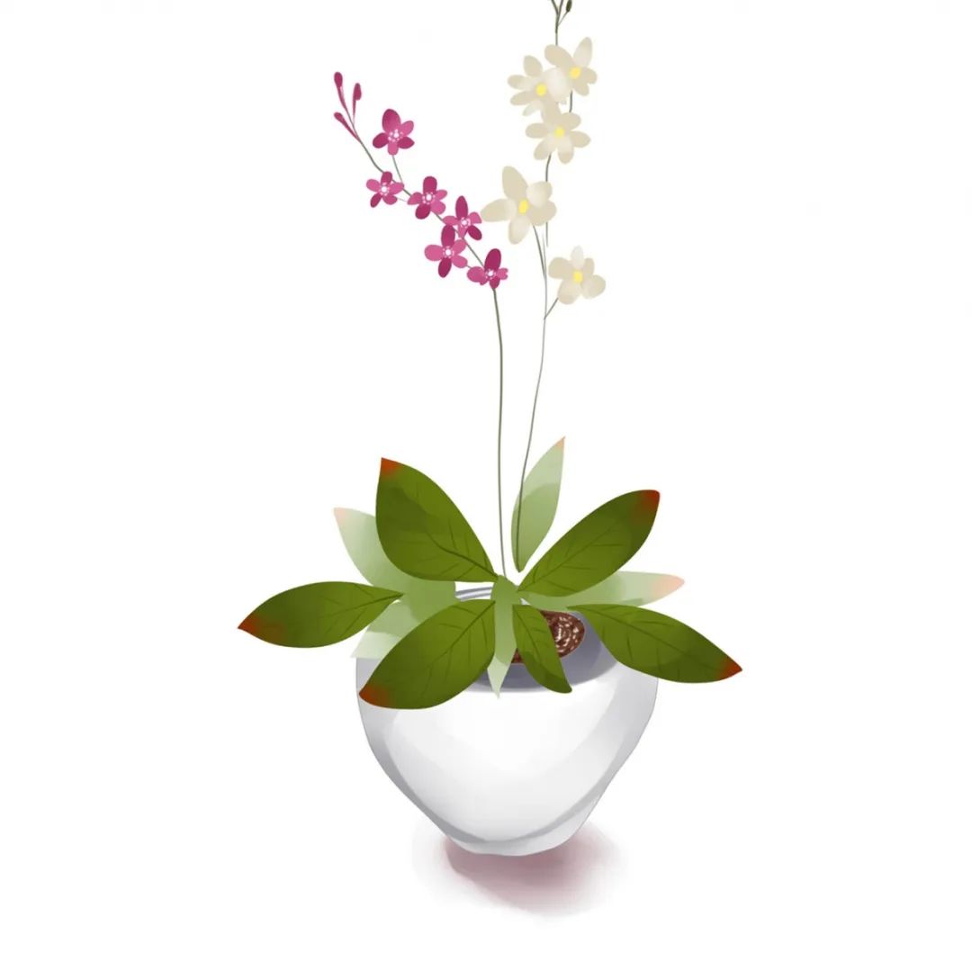 如何跟不爱说话的男生相处,如何跟男友高情商聊天