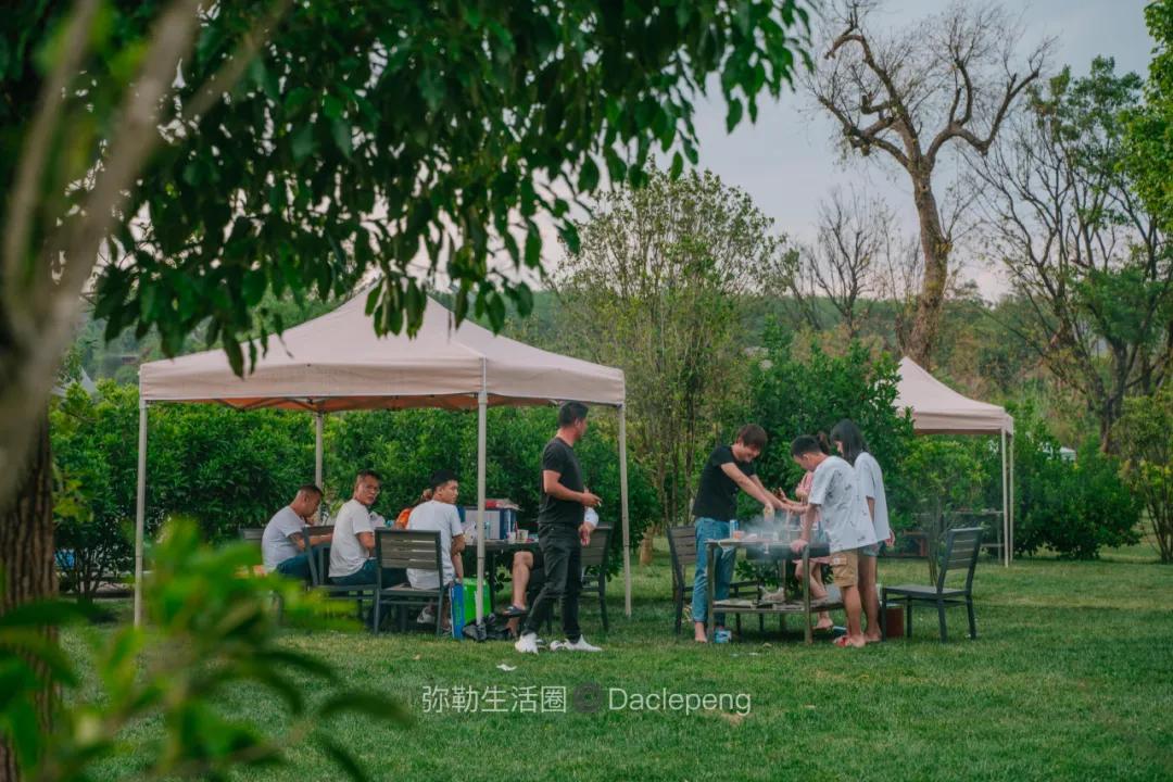 云南最美小镇图片,云南太平湖森林公园花海