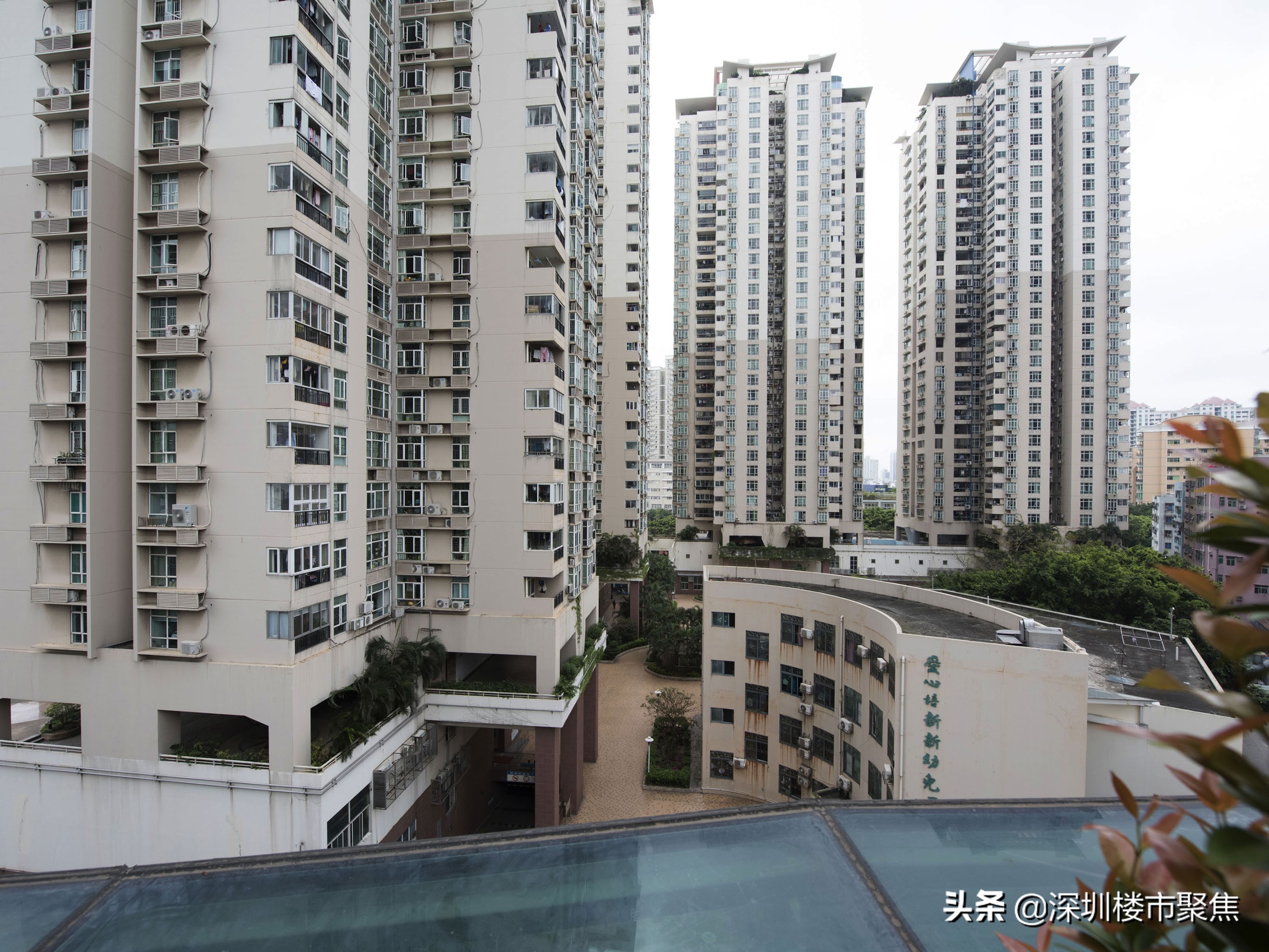 福田中学汤唯,汤唯的学校