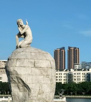 鸽群飞翔,鸽群翱翔蓝天视频