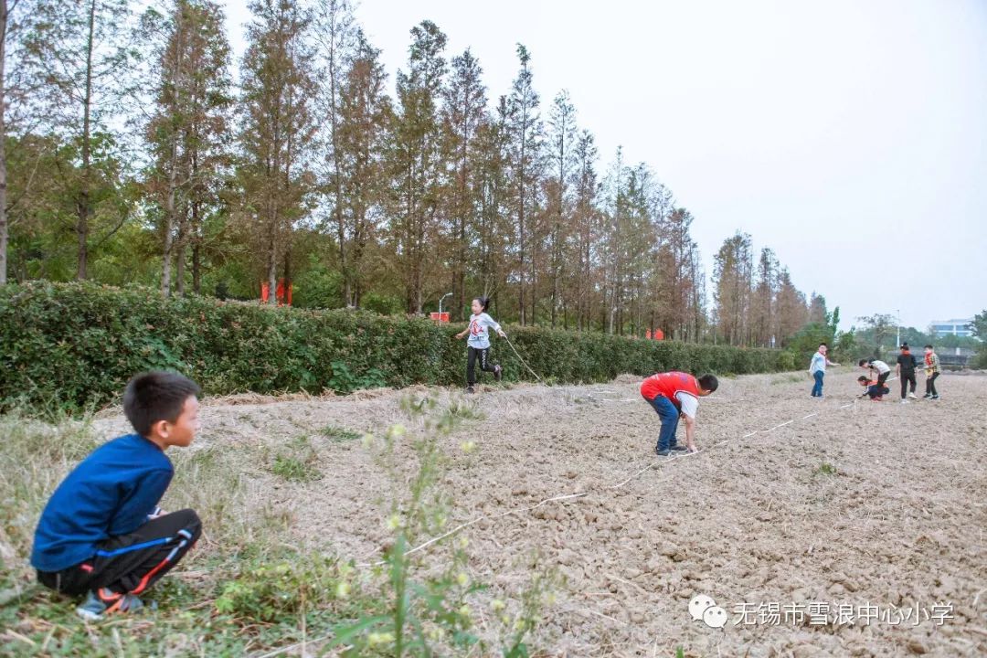 翻地、播种…无锡老小将课堂搬到了田间地头