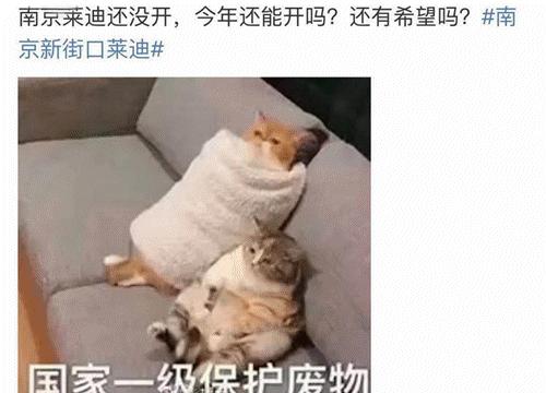 莱迪广场地址,莱迪广场最新动态