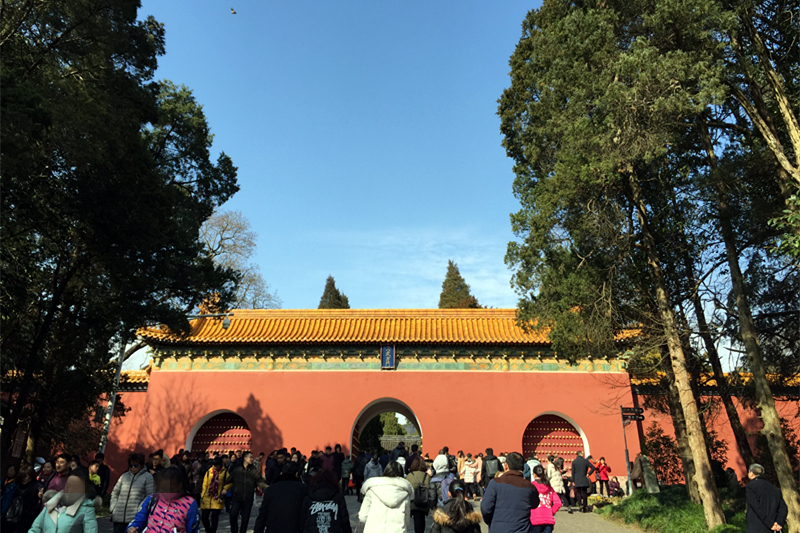 月下说金陵，晨起游南京