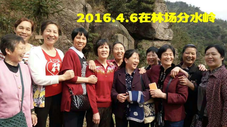 难以释怀的知青情结,60年代的知青情结