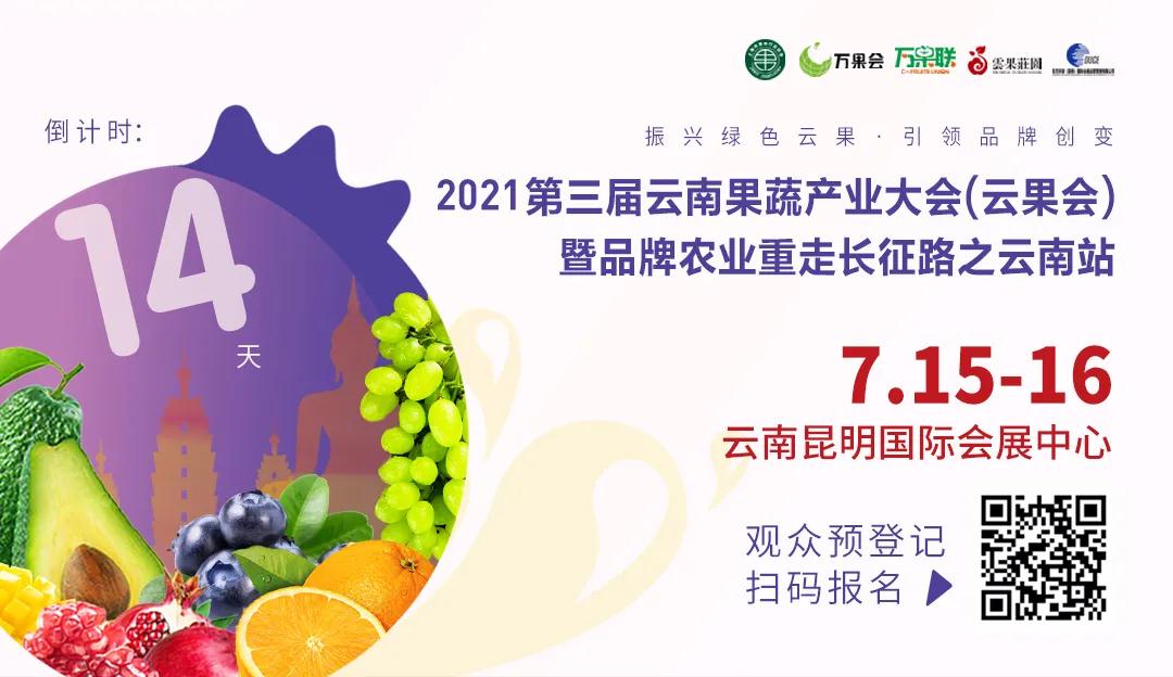 C位出道亮相山城！连续霸榜的广东荔枝到底有啥魔力？