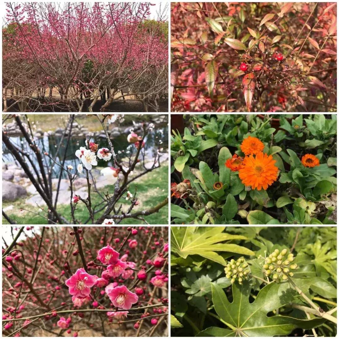 无锡遛娃户外免费,无锡惠山区遛娃好去处