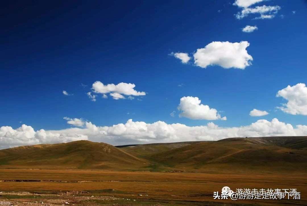 *疆新**自由1：15000公里带狗走全疆（*疆新**全程路书）