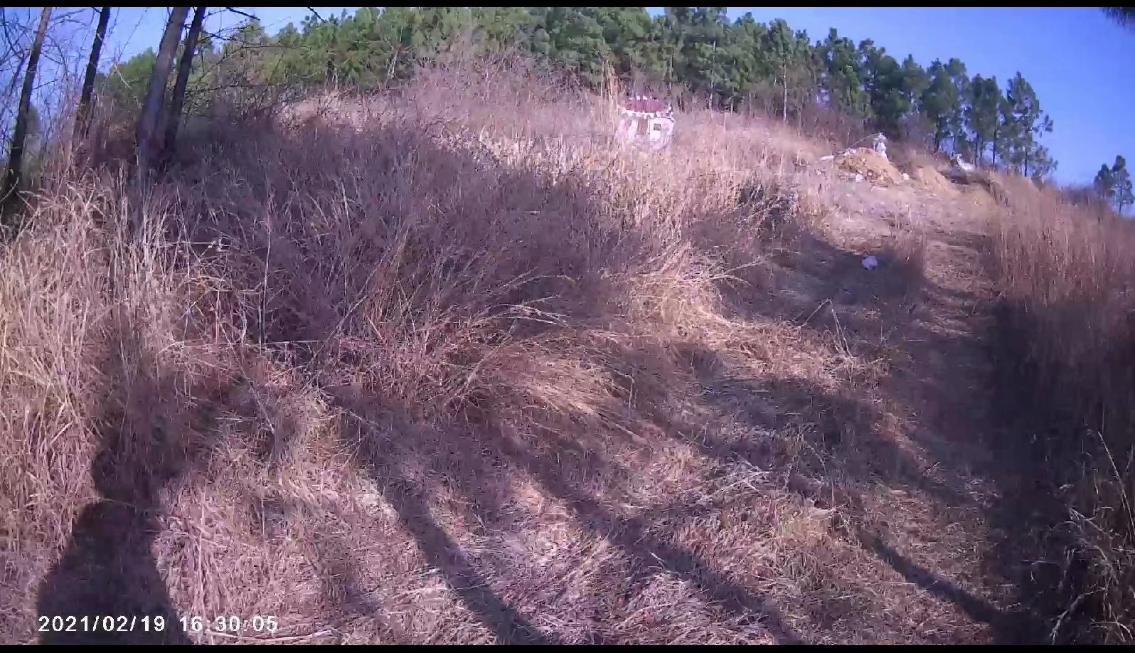 摩托周边旮旯游——探访蚌埠李楼鲁山寺遗址（上）