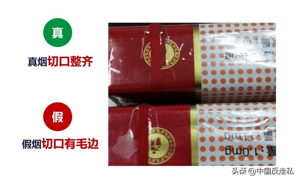 全民反走私教学视频,全民反诈洗钱案例