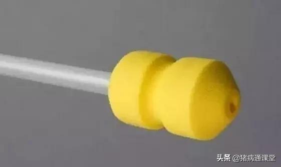 母猪深部输精和浅部输精的区别,怎么判断母猪是否输精