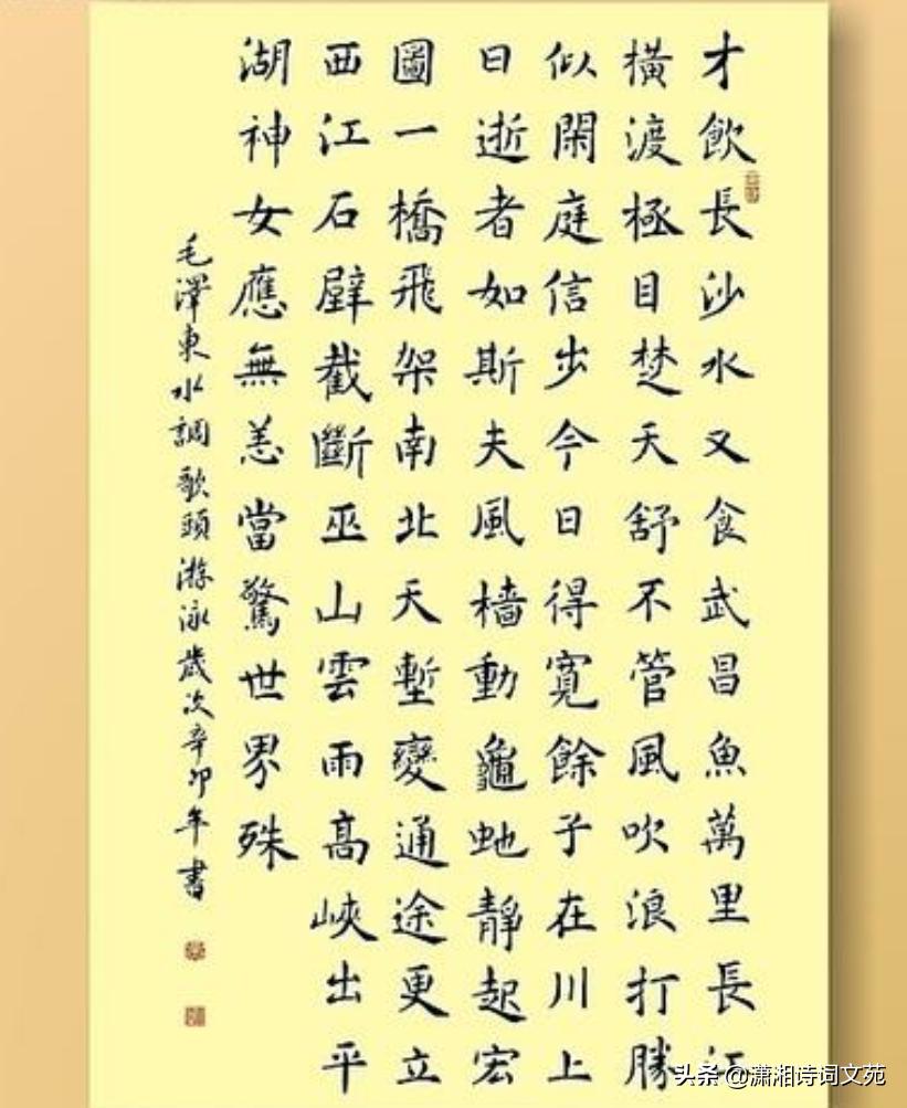 “神女应无恙，当惊世界殊”：再读《水调歌头·游泳》