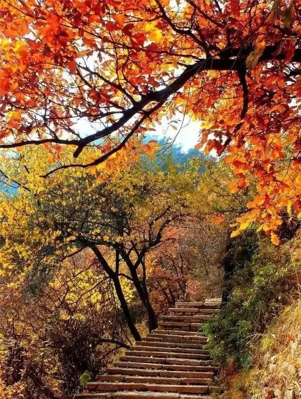 兰州市玻璃栈道,兰州玻璃栈道最长多少米