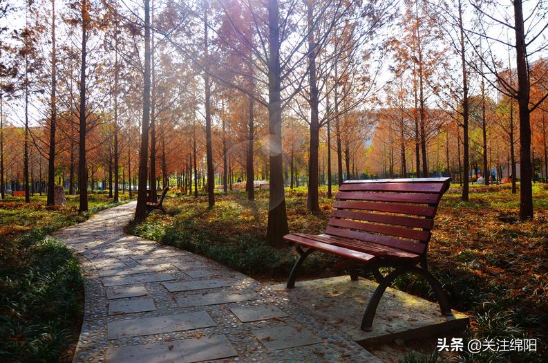 二环路四期今年通车青义石马“组团发展”新城北向城市化大步迈进