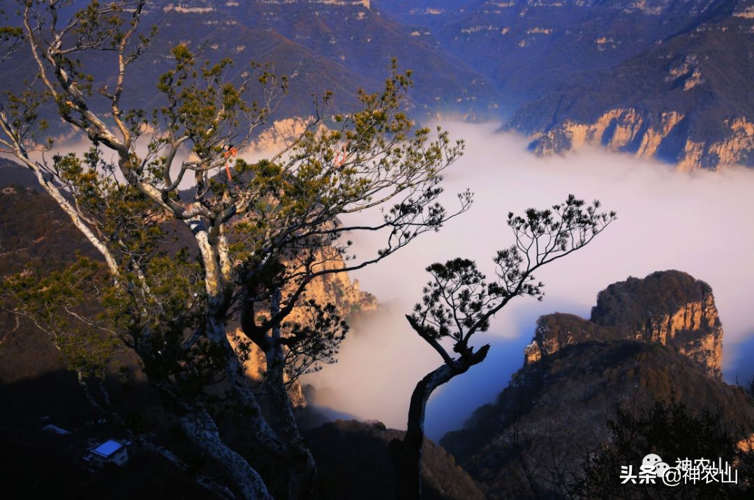 这就是生活第40集刘恺威,这就是街舞3