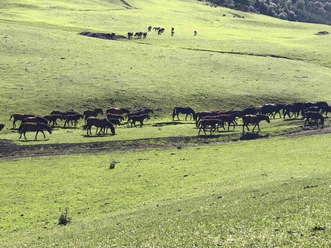 出游大美新疆第十四天,郑州周边2-3天短途旅游亲子11月