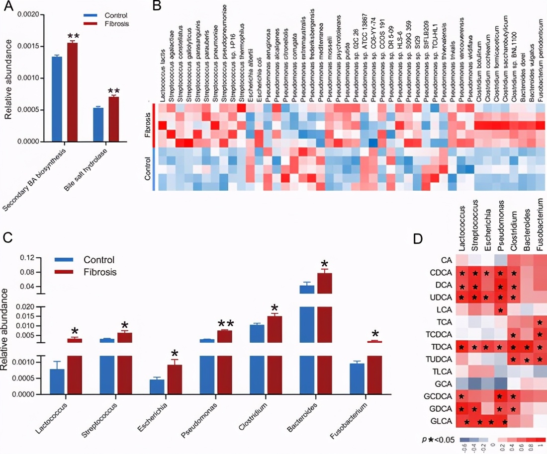 胆汁酸代谢障碍发生机制,胆汁酸代谢和脂质代谢