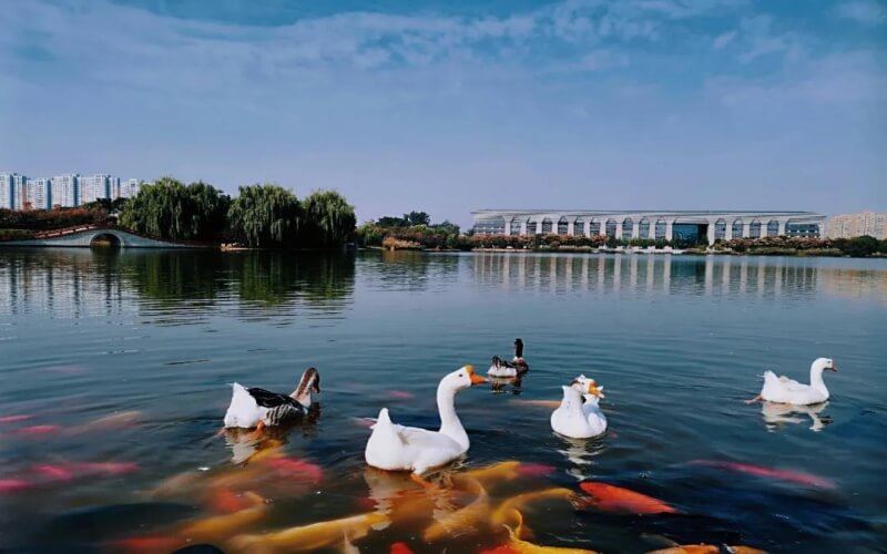 曾经的洛阳,曾经的洛阳第二师范学校