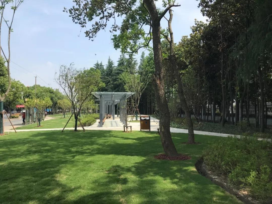 松江国际生态商务区地标,松江国际生态公园