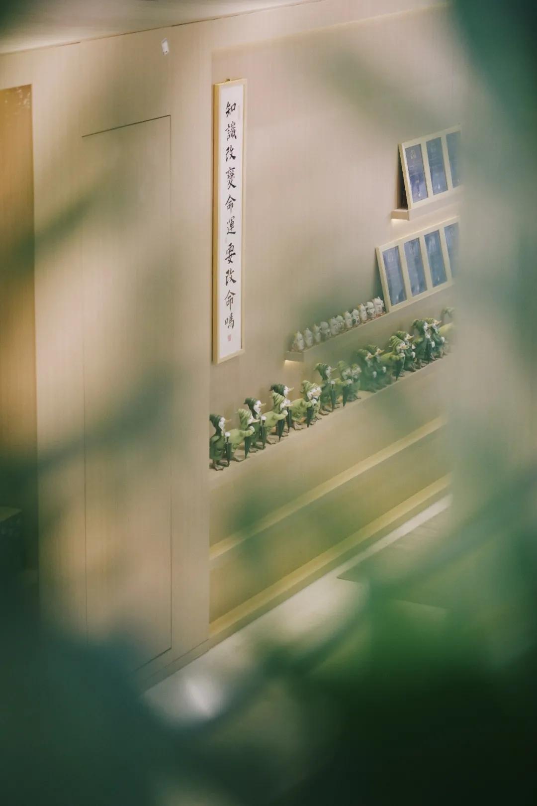 洛阳必打卡书店,洛阳闻山君竹书店