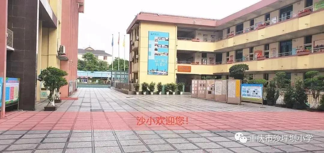 不看你就输了，重庆头部教育大区沙坪坝，这些学校家长值得关注