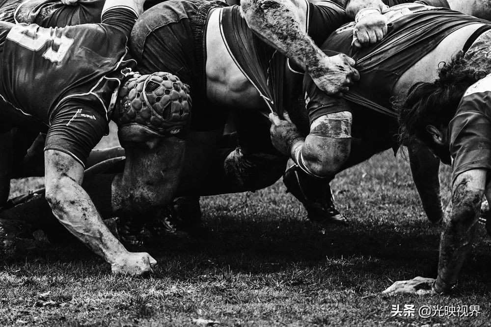 2022年度的ipa摄影大赛获奖作品,2020ippa摄影大赛奖项公布