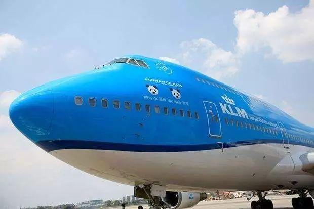 大熊猫在外国有多红,大熊猫外国人印象