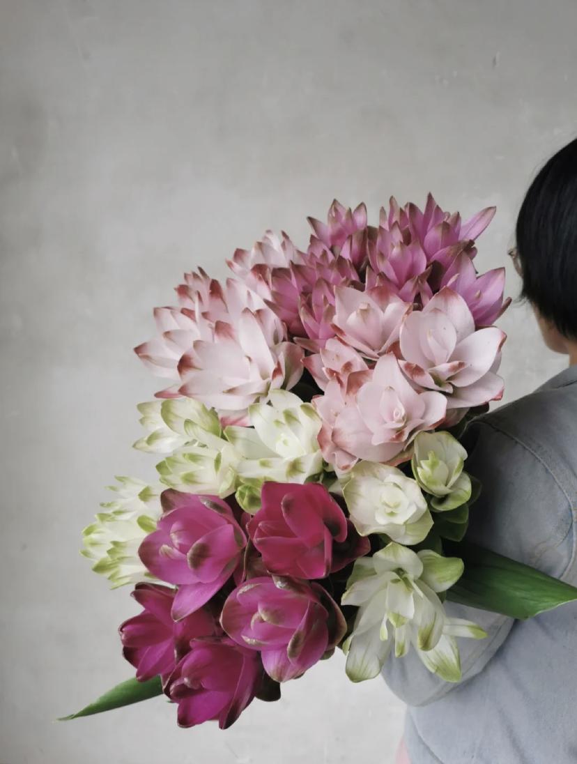 家里要有氛围感什么花比较好,家里高级的花