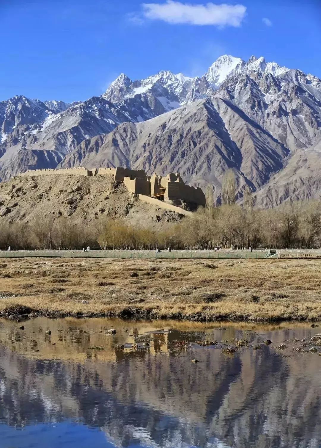 走马春季追花线|春漫*疆新**，牧笛声声中的杏花村