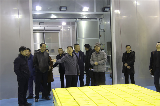 敦煌研究院建筑规模,敦煌研究院基础建设