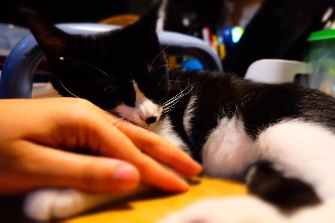 和卡卡的第一次合作,和卡卡相遇