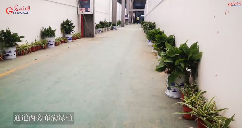 新冠天价账单价目表,新冠肺炎治愈费用详情