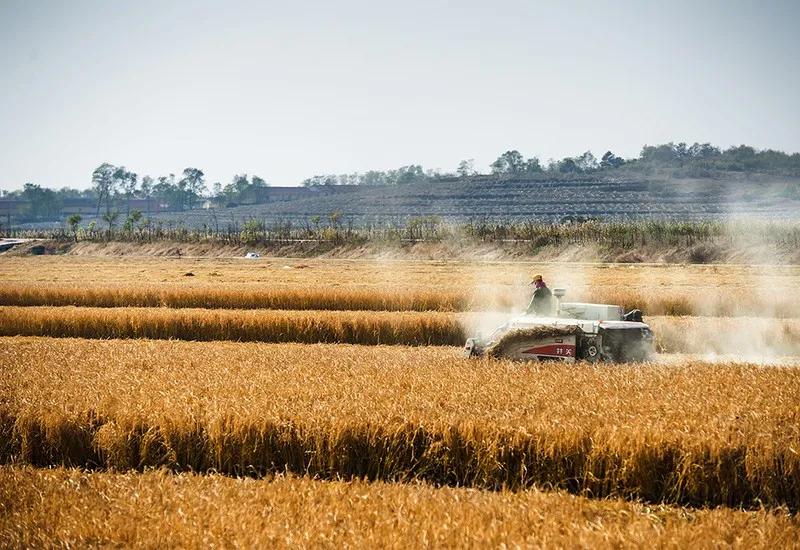 大连庄河这个城市怎么样,大连庄河前景如何