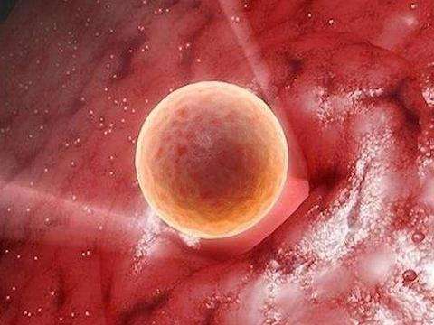 导致孕妇流产,7个原因可能导致孕妇流产