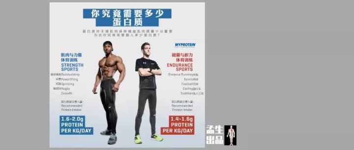 蛋白粉的作用与功效,蛋白粉吃了对身体有什么好处