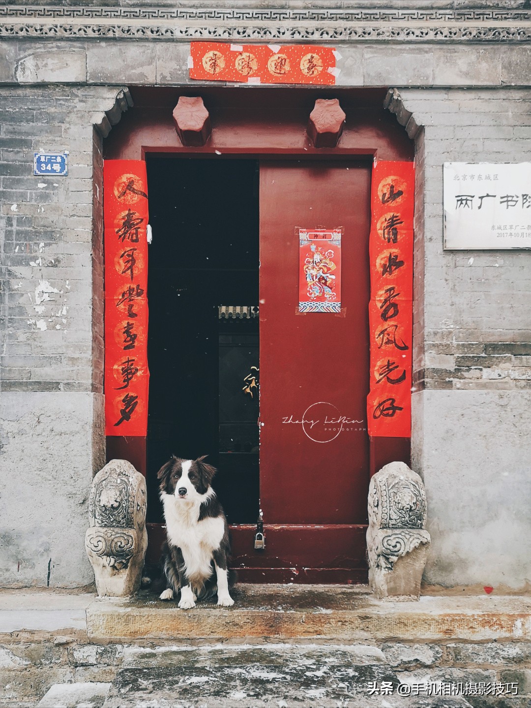 雪花细节图怎么拍,雪花怎么拍得清晰