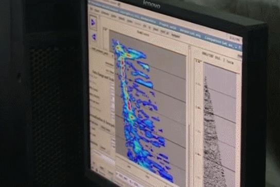 热搜1.9亿的“菠萝的海”，其实还产油