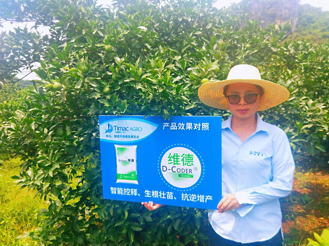 缁村痉缂旈┈鑲ユ枡閰嶆瘮,缁村痉鑲ユ枡鑲ユ晥