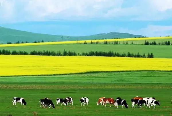 鍛煎拰娴╃壒鍎掓埧鍦颁骇鍜ㄨ鐢佃瘽,鍛煎拰娴╃壒鍎掓埧鍦颁骇鐢佃瘽鍙风爜