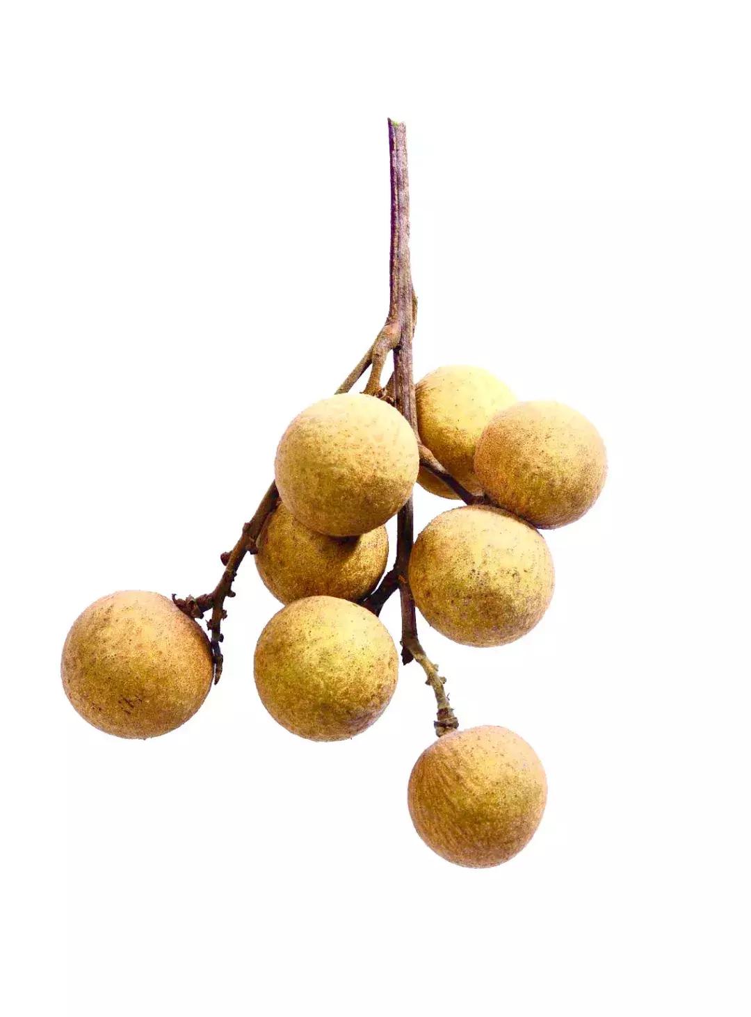 彩铅龙眼,龙眼怎么画彩铅