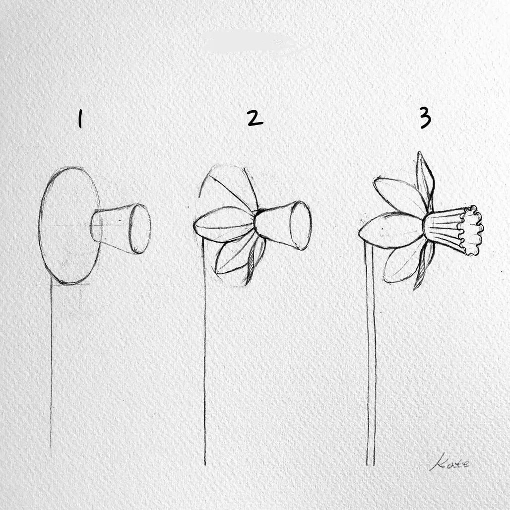 一分钟教你简单画花,简单的花卉图教程