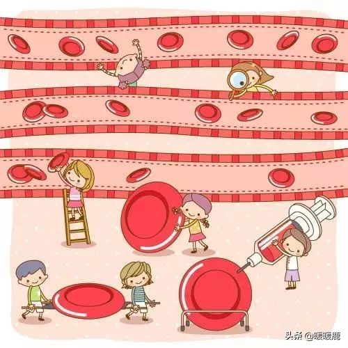 孕妇血常规的血红蛋白、血细胞和血小板代表什么,孕期贫血怎么办