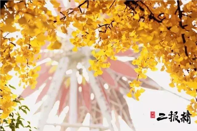 芜湖叫小上海的原因,安徽芜湖有小上海之称吗