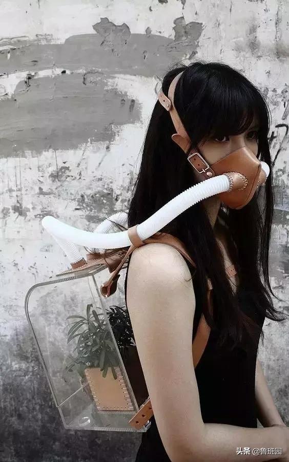 鱼鳔胶怎么样的好,鱼鳔和鱼鳔胶区别