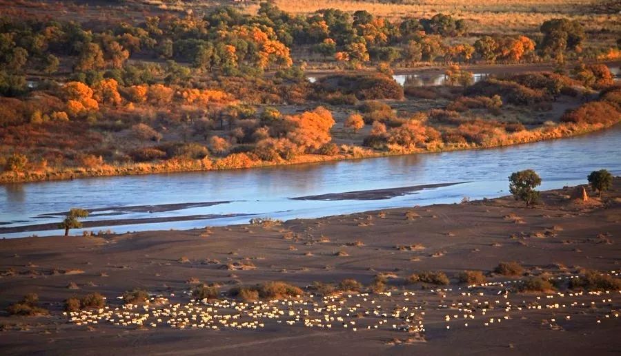 额济纳戈壁滩记录,额济纳戈壁滩沙漠