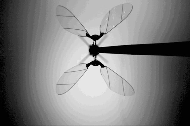 重量最轻的超小型无人机,史上最轻的无人机