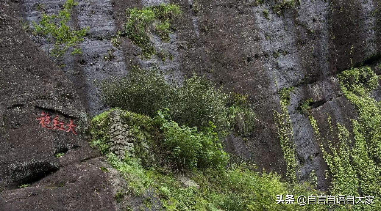 哪来那么多‘真假’茶叶？莫非现在茶叶还能“人造”了？