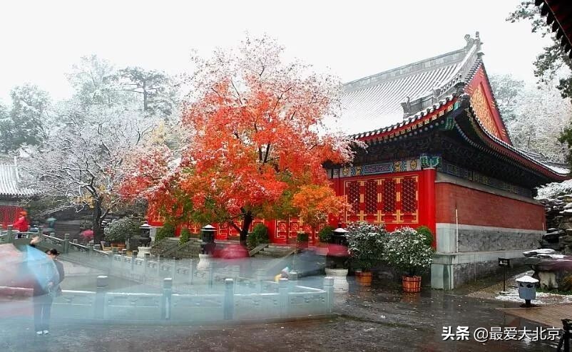 香山红叶几月去最好香山用预约吗,去北京香山看红叶别去爬山吗