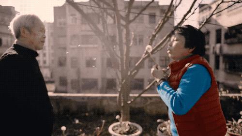 2019年不能错过的好剧,一直被低估的10部优秀国产片