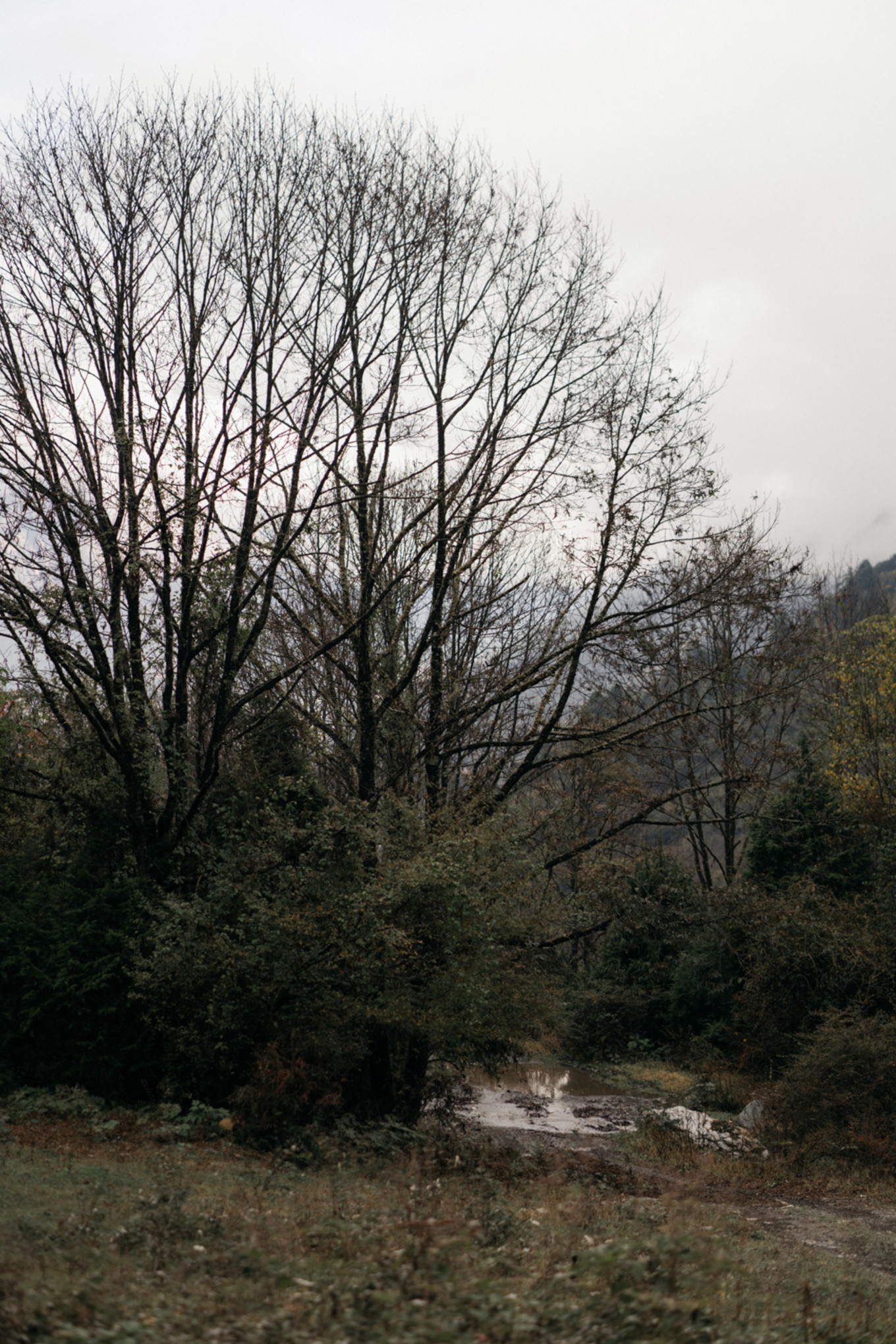 我们带上婚纱，去与世隔绝的山中办了一场绝世婚礼