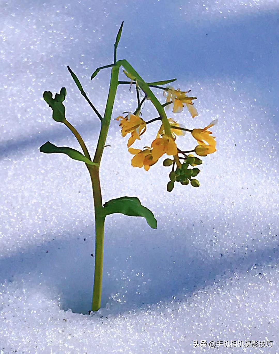 手机变焦和放大的区别,手机变焦有什么用